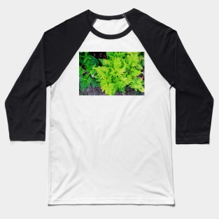 Red and Yellow Coleus Plant Leaves Baseball T-Shirt